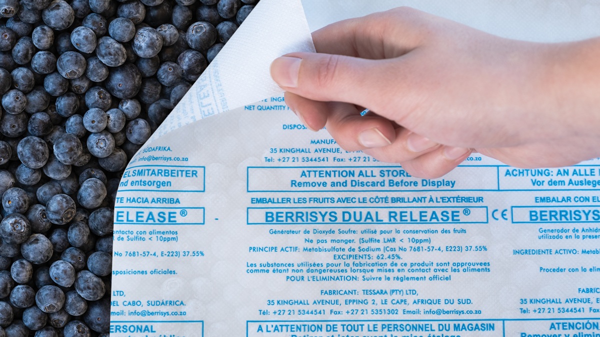 AgroFresh se suma al Fruitnet Berry Congress 2026 como patrocinador Platinum.jpg